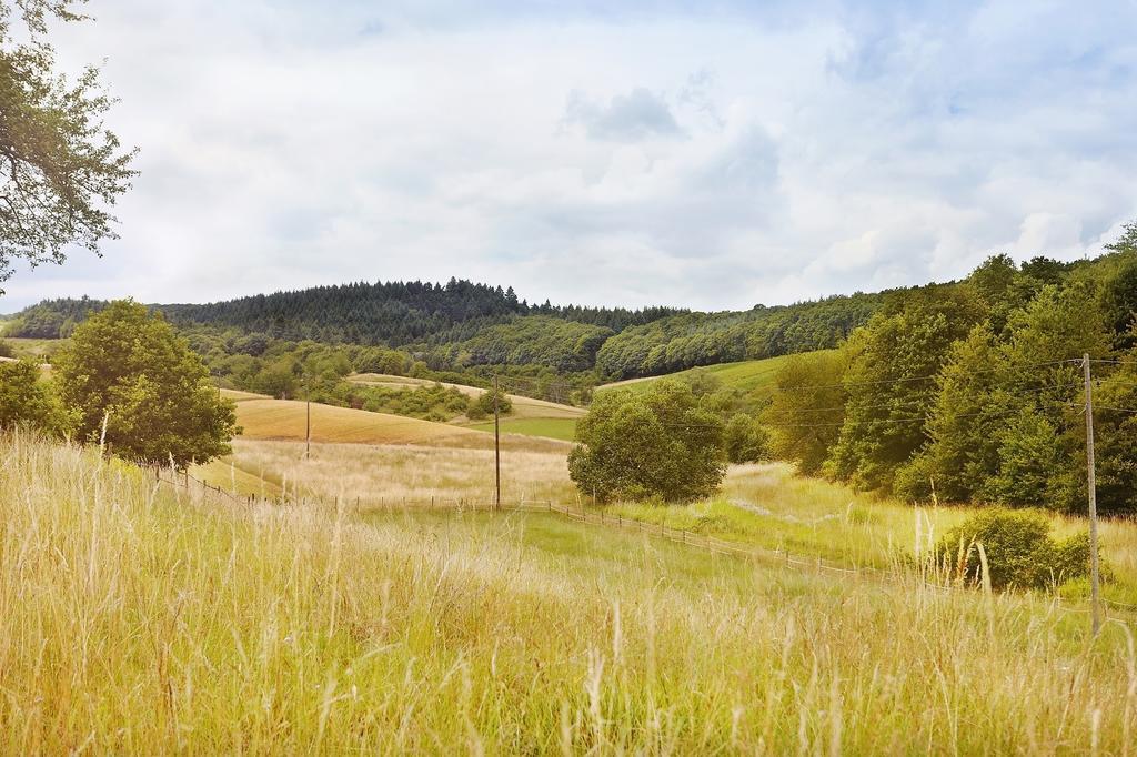 Landhotel Lembergblick Feilbingert Kültér fotó