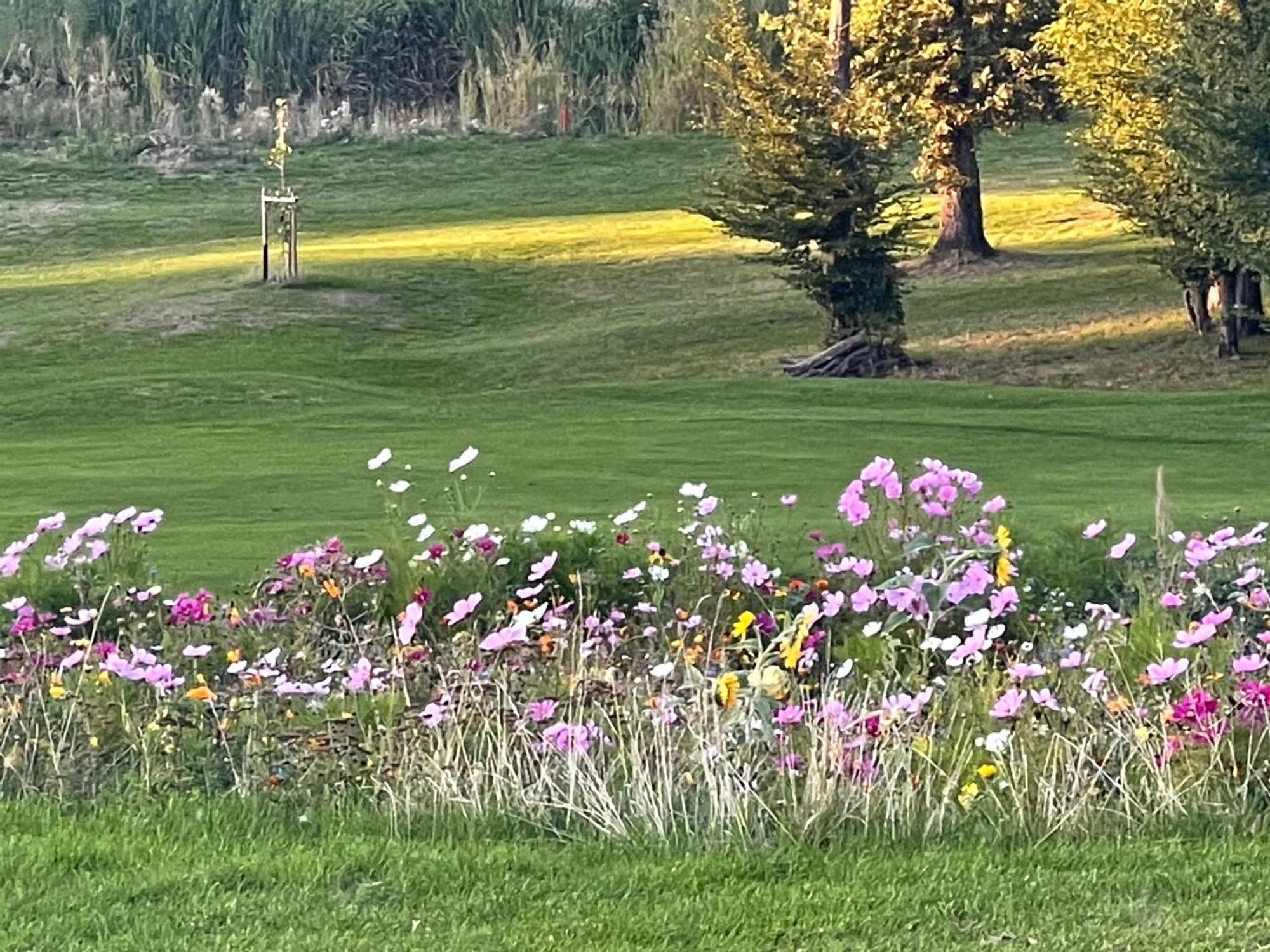 Landhotel Lembergblick Feilbingert Kültér fotó